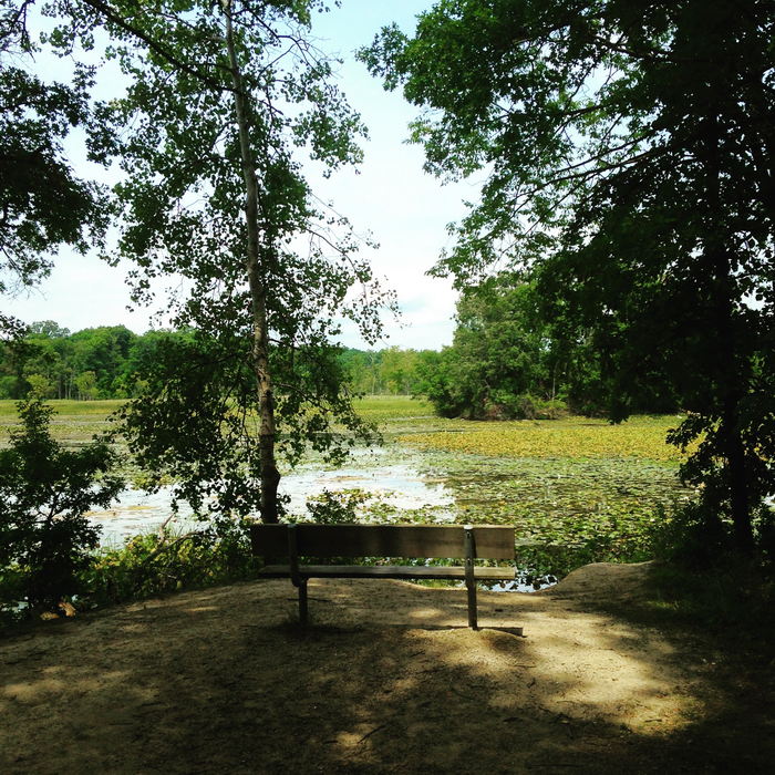 Kensington Metropark - 2015 Photo (newer photo)